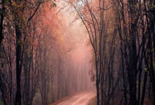 2025乐鱼体育在线橙色军团雄心勃发，力压对手晋级