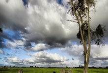 2025乐鱼体育在线官网中国军团美网前两日6战皆败,仅剩王欣瑜和布云朝克特,2021年美网中国选手