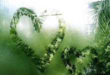 2025乐鱼体育在线橙色军团雄心勃发，力压对手晋级